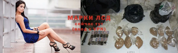 молекула духа Аркадак