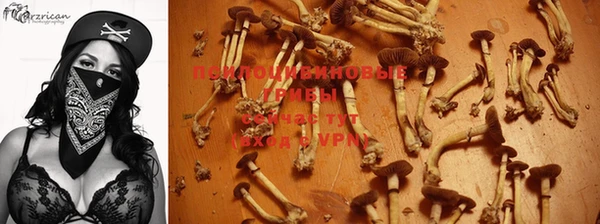 а пвп мука Армянск