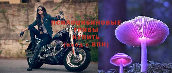 молекула духа Аркадак