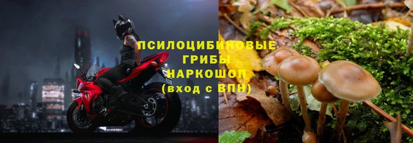 молекула духа Аркадак