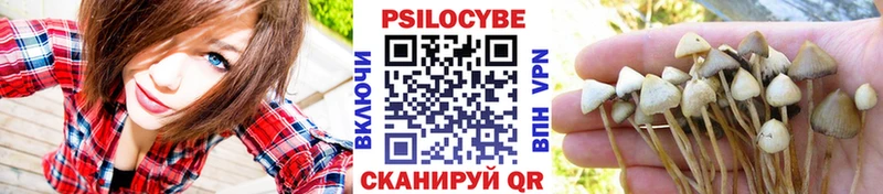 Галлюциногенные грибы Cubensis где можно купить Нефтекумск